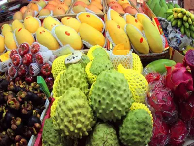 Обзорная экскурсия по Санья